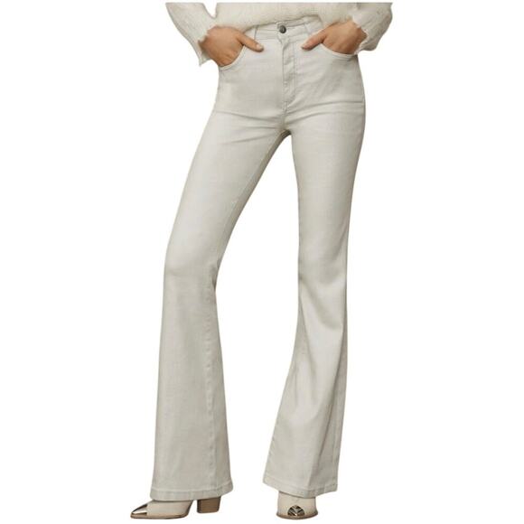 Pilcro The Icon Pearlescent High Rise Flare Jean Cat Walk Size 28 - Picture 1 of 10